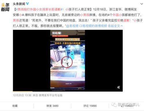 外国最新爆料新闻事件视频,最新爆料新闻事件视频深度解析